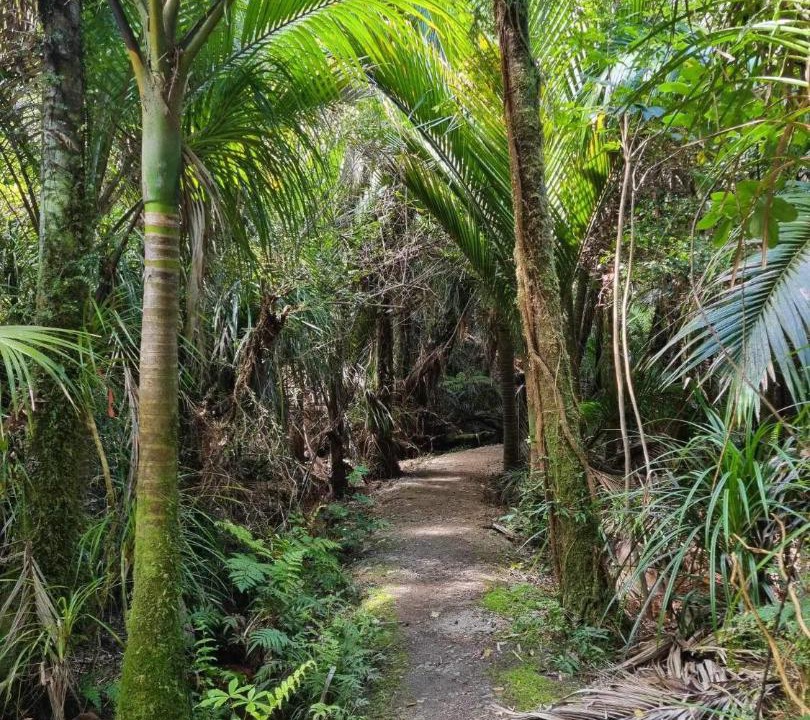Photo of Others in Karamea