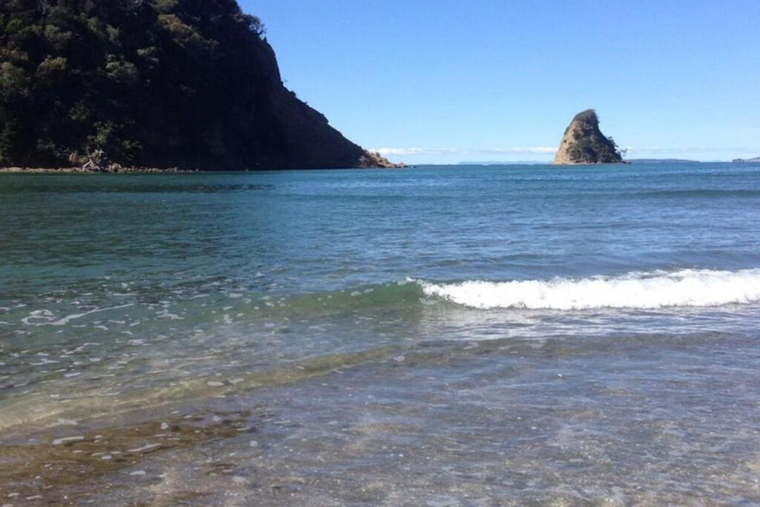Photo of Others in Waiwera