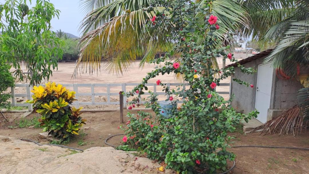 Photo of Others in Santa Maria Huatulco