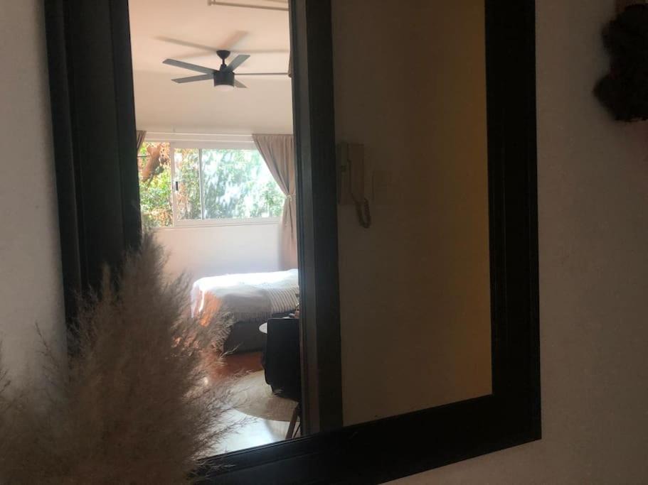 Photo of Others in La Condesa