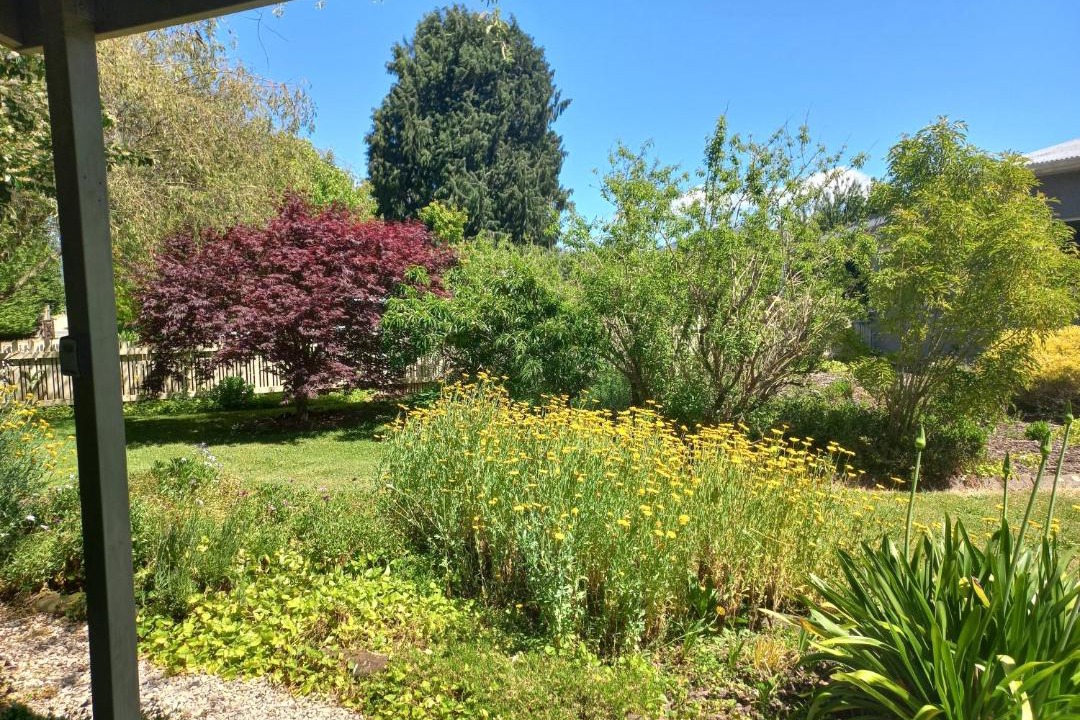 Photo of Outdoor in Motueka