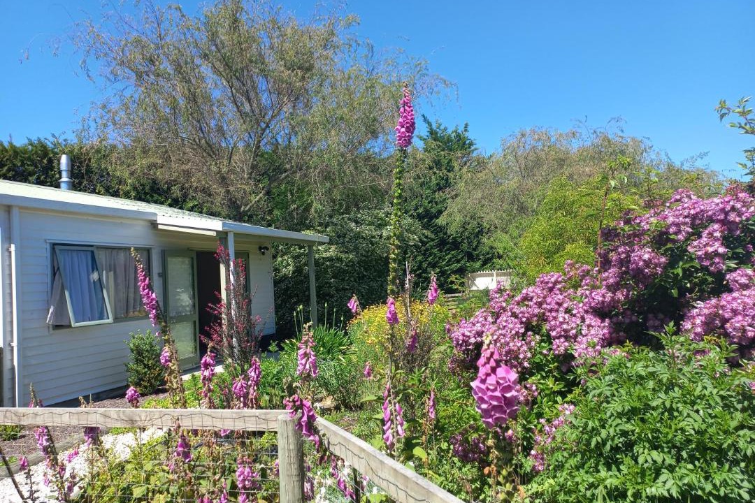 Photo of Buildings in Motueka