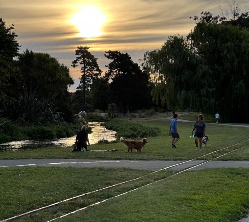 Photo of Others in Blenheim