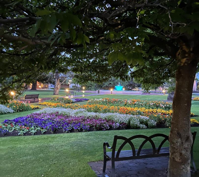 Photo of Others in Blenheim