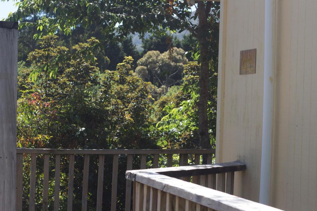 Photo of Others in Tararua Forest Park