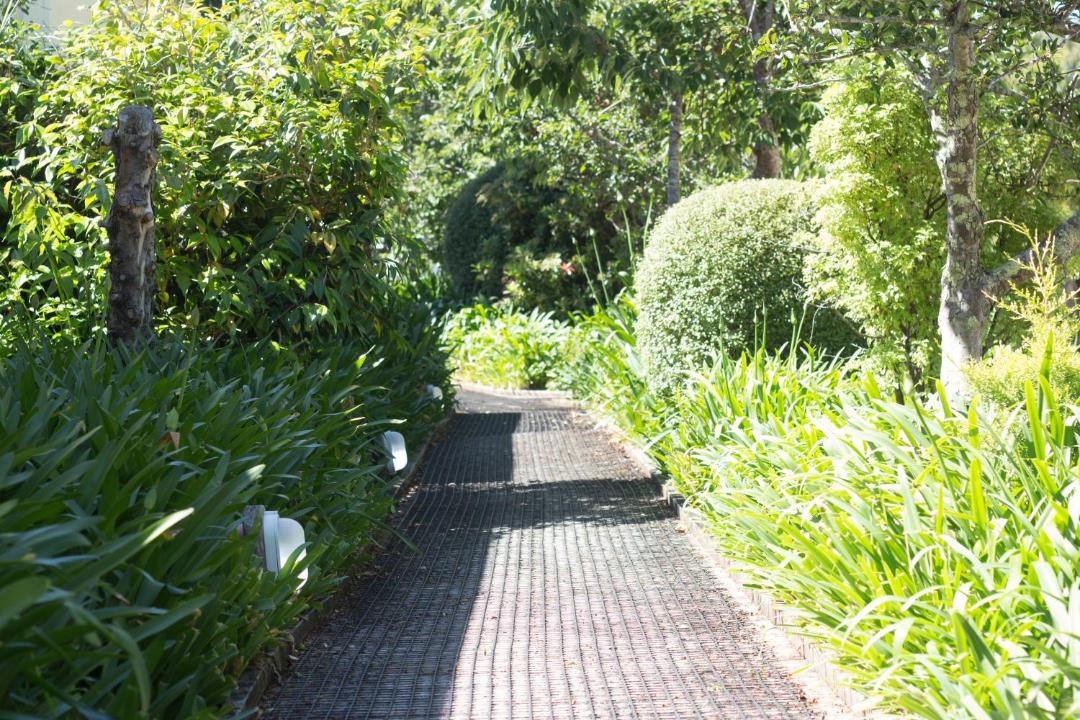 Photo of Outdoor in Tararua Forest Park