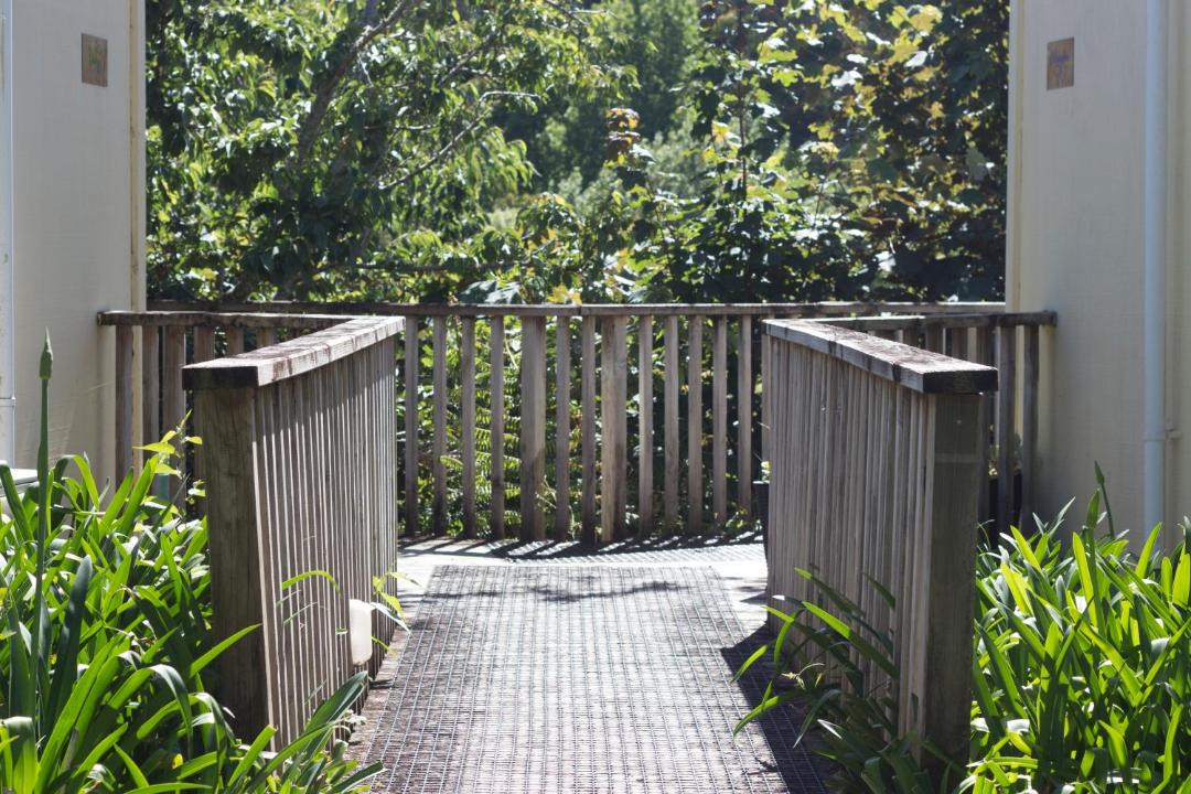 Photo of Others in Tararua Forest Park