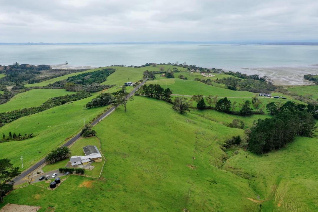 Photo of Outdoor in Awhitu