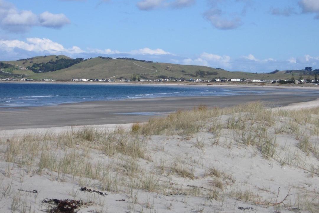 Photo of Others in Warkworth
