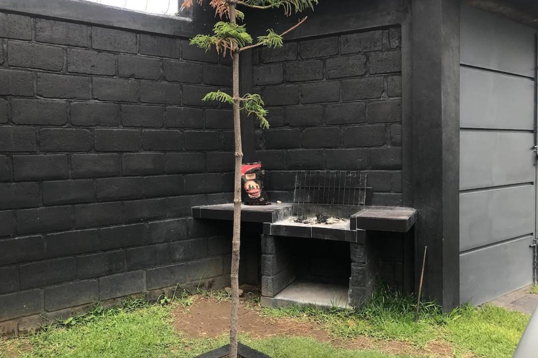 Photo of Others in Yautepec