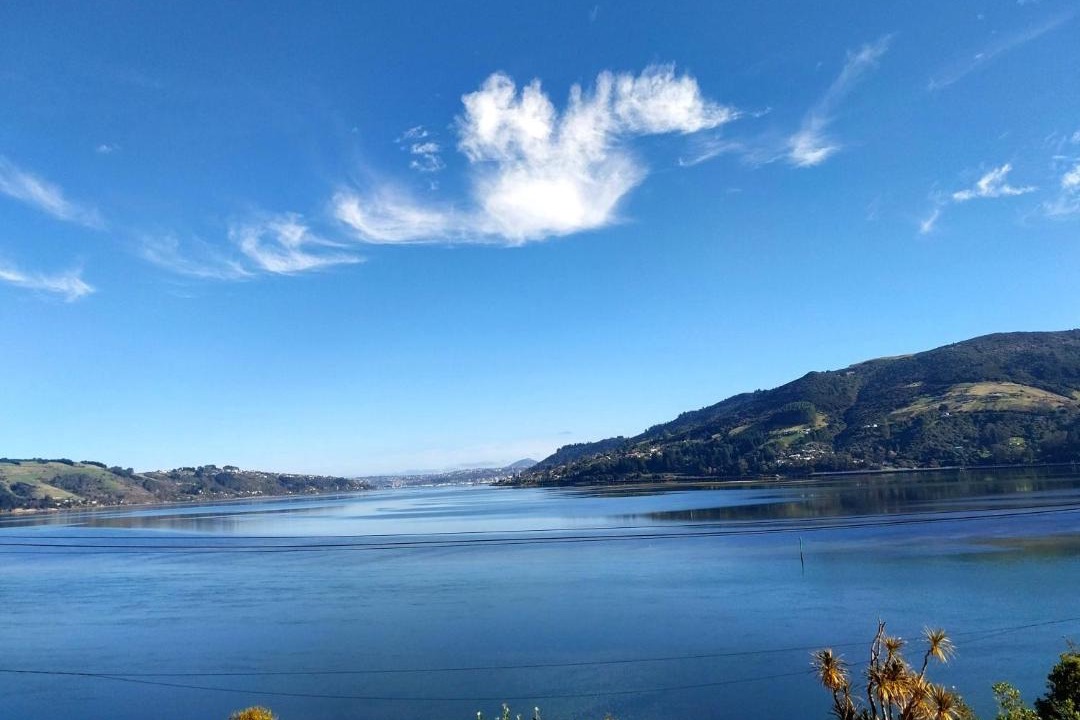 Photo of Others in Dunedin