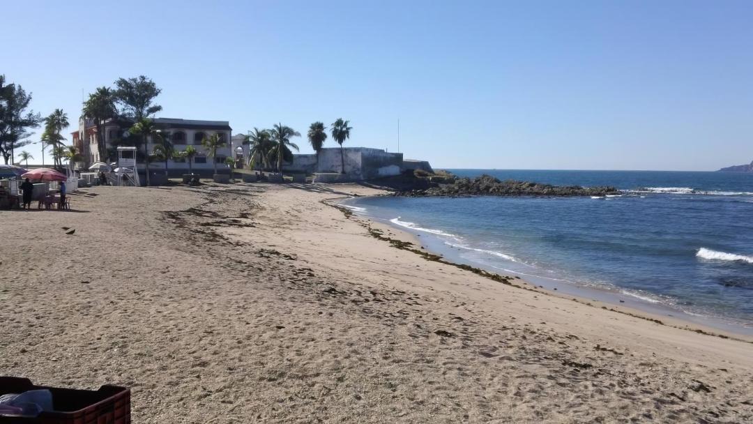 Photo of Others in Downtown Mazatlan
