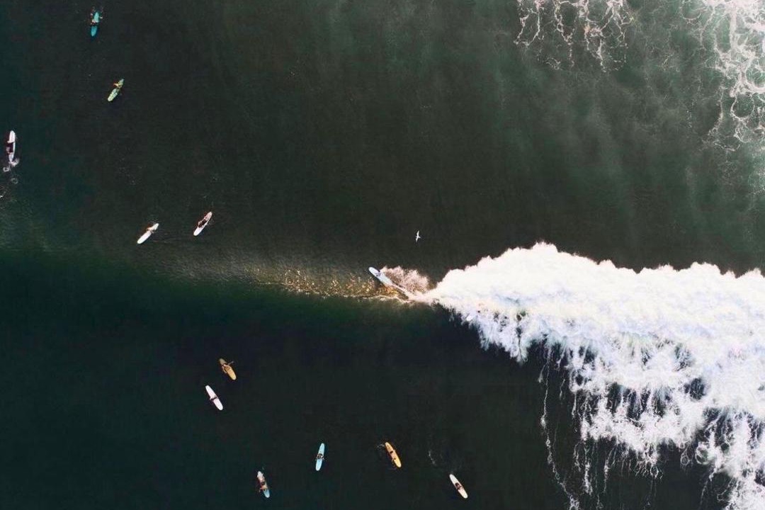 Photo of Others in Saladita