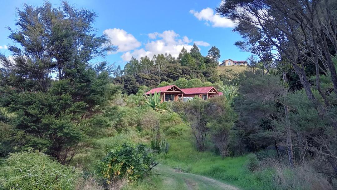 Photo of Others in Mangawhai