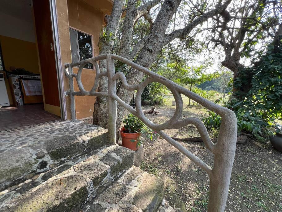 Photo of Patio Balcony in Amatlan