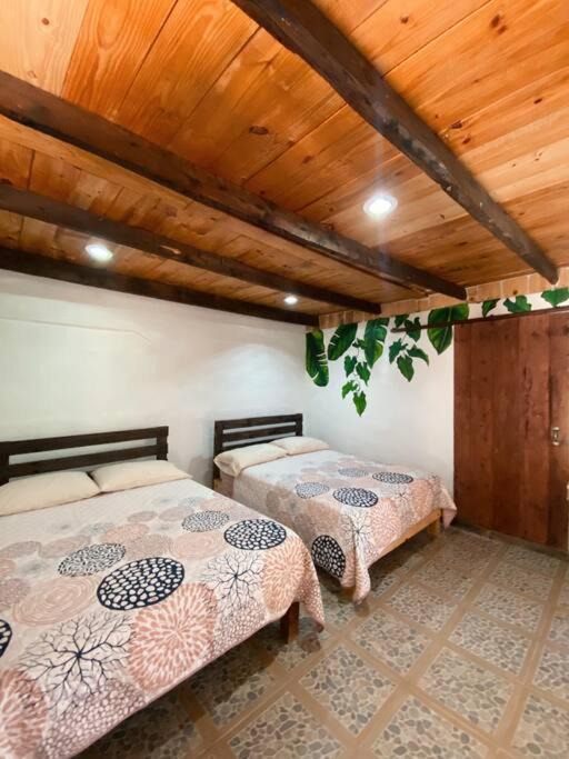 Photo of Bedroom in Xilitla