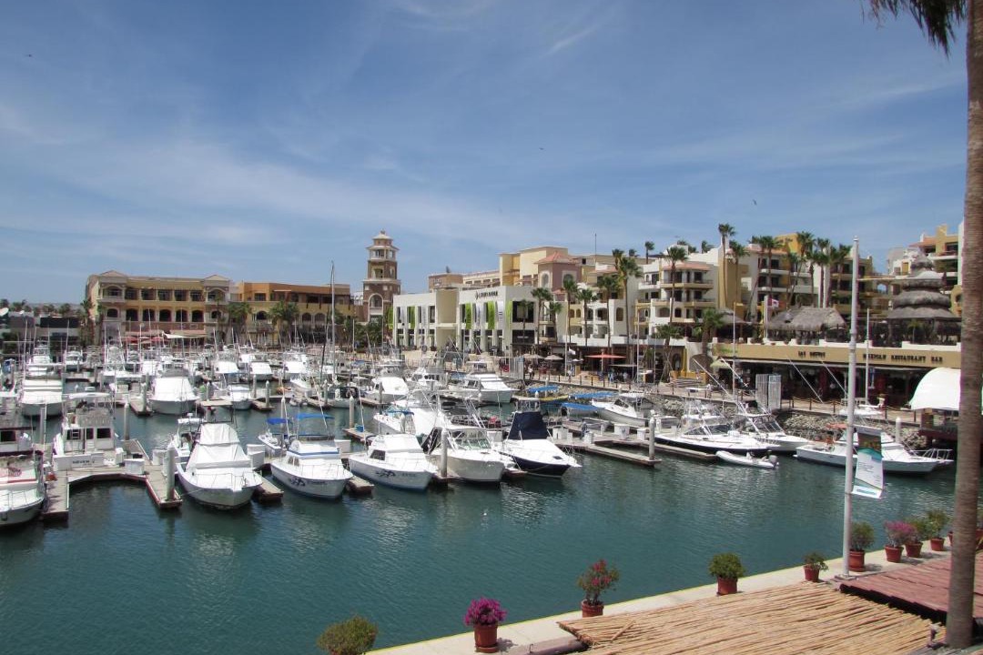 Photo of Others in Marina