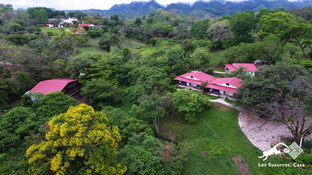 Photo of Others in Palenque