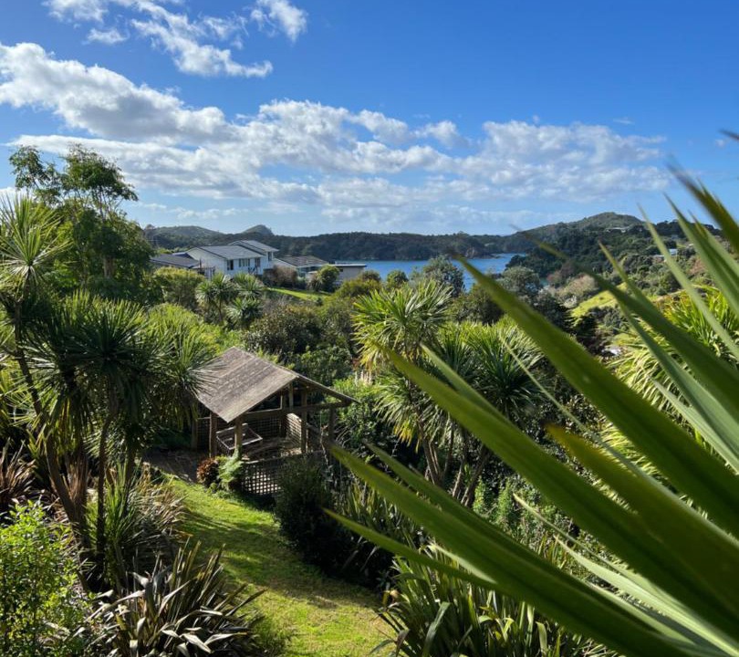 Photo of Outdoor in Tutukaka