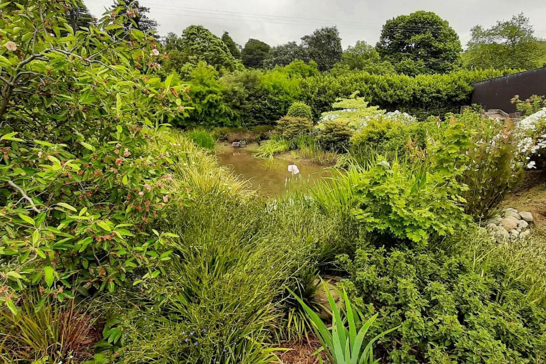 Photo of Outdoor in Tararua Forest Park