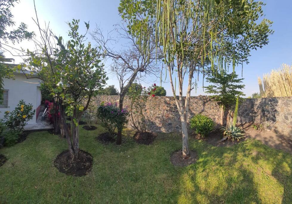 Photo of Outdoor in Cuautla