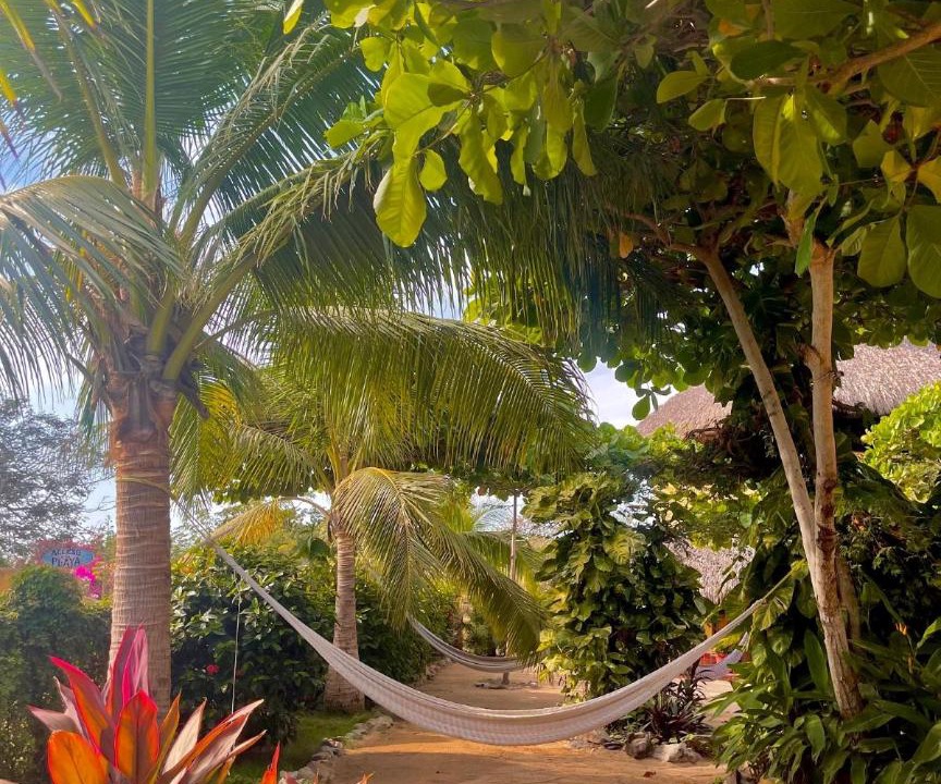 Photo of Others in Troncones