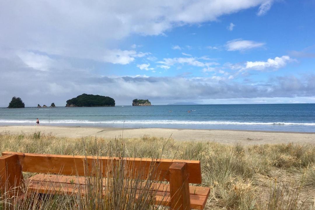 Photo of Outdoor in Whangamata