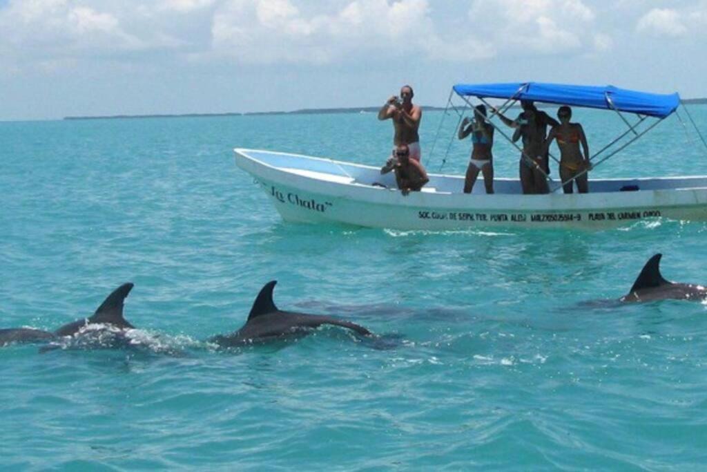 Photo of Human In Picture in Akumal