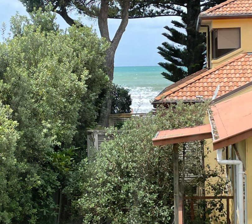 Photo of Others in Orewa