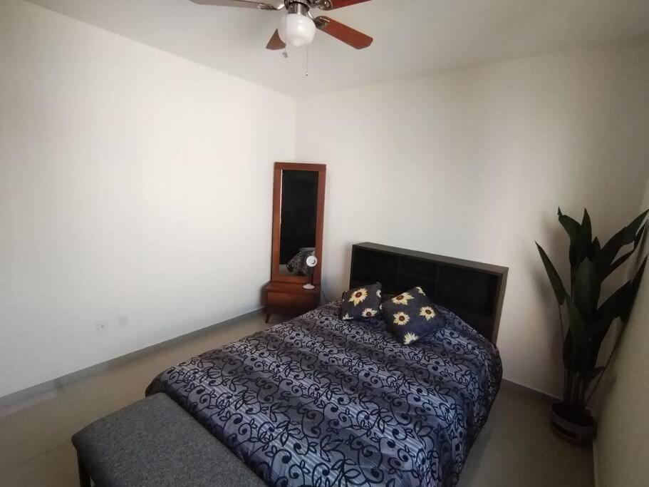 Photo of Bedroom in Acapantzingo