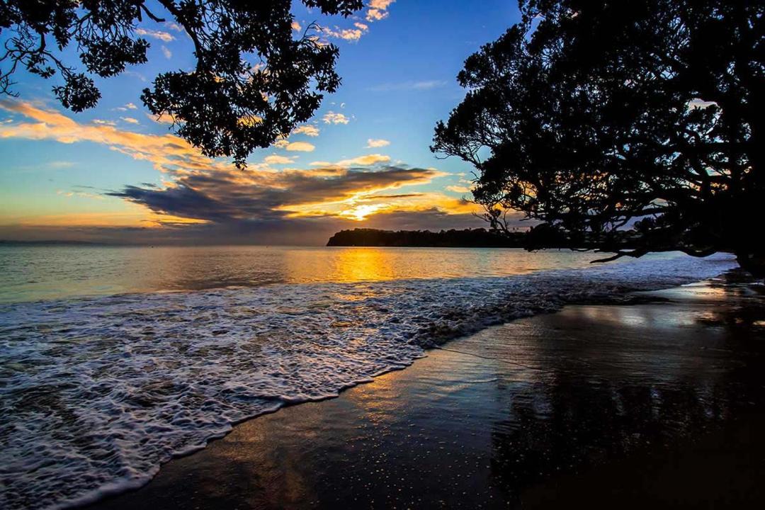 Photo of Others in Stanmore Bay