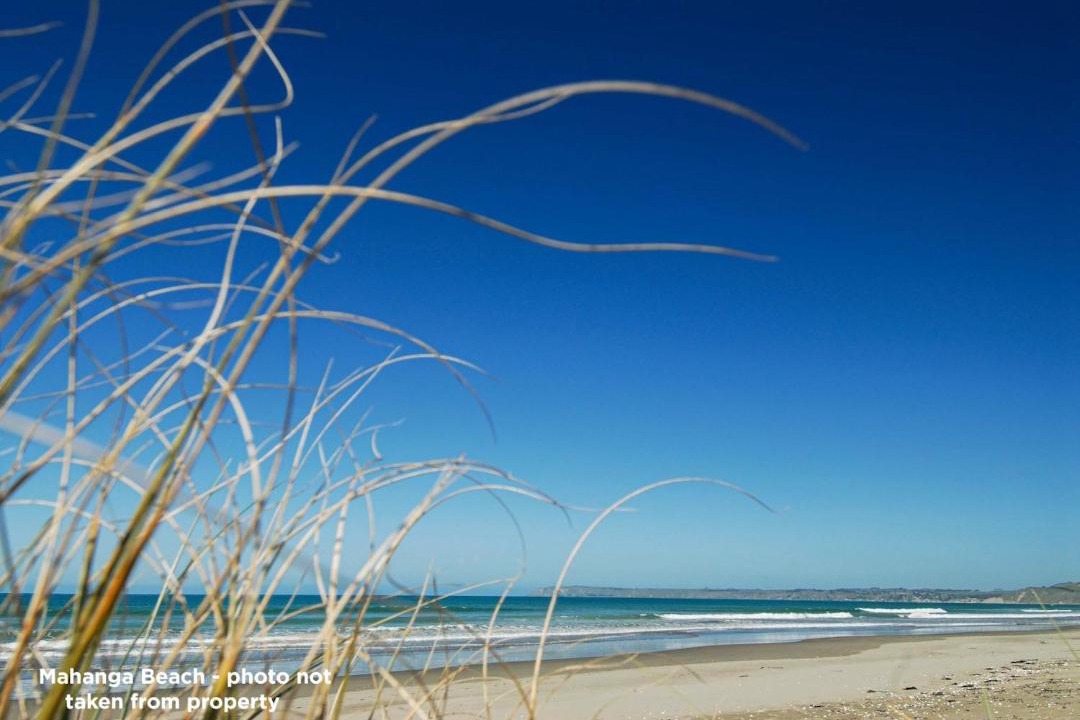 Photo of Others in Mahia