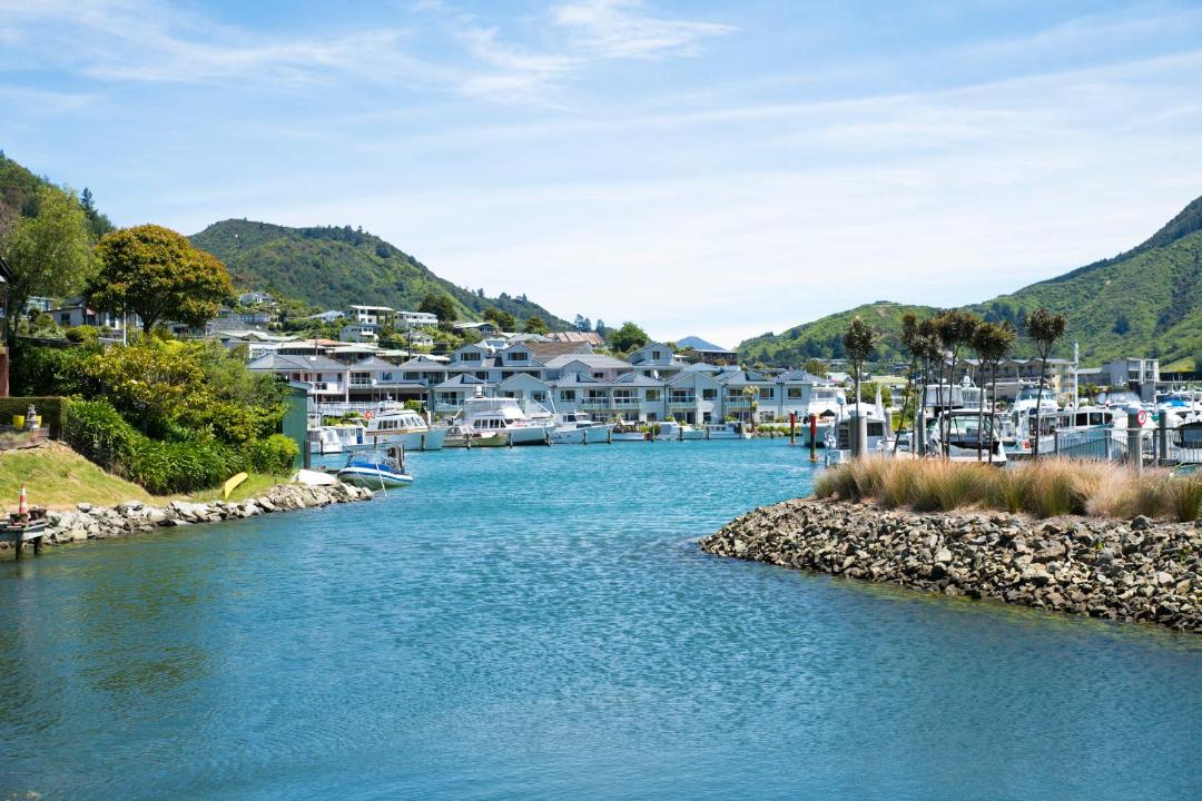 Photo of Others in Picton