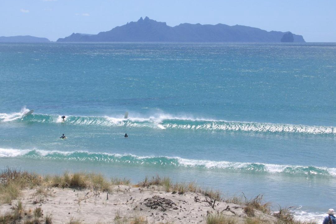 Photo of Others in Mangawhai Heads