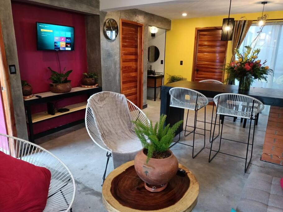 Photo of Livingroom in San Cristobal de las Casas