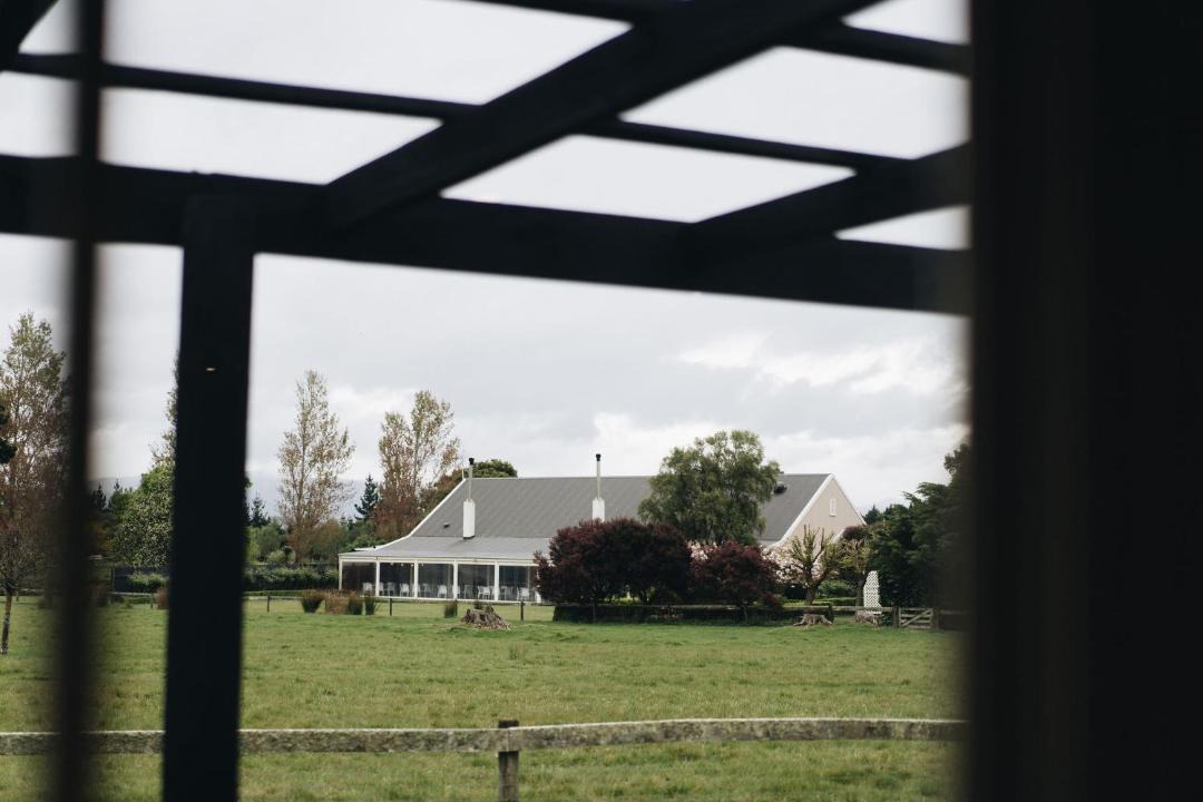 Photo of Others in Martinborough