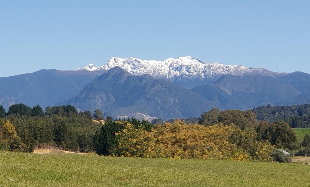 Photo of Outdoor in Motueka