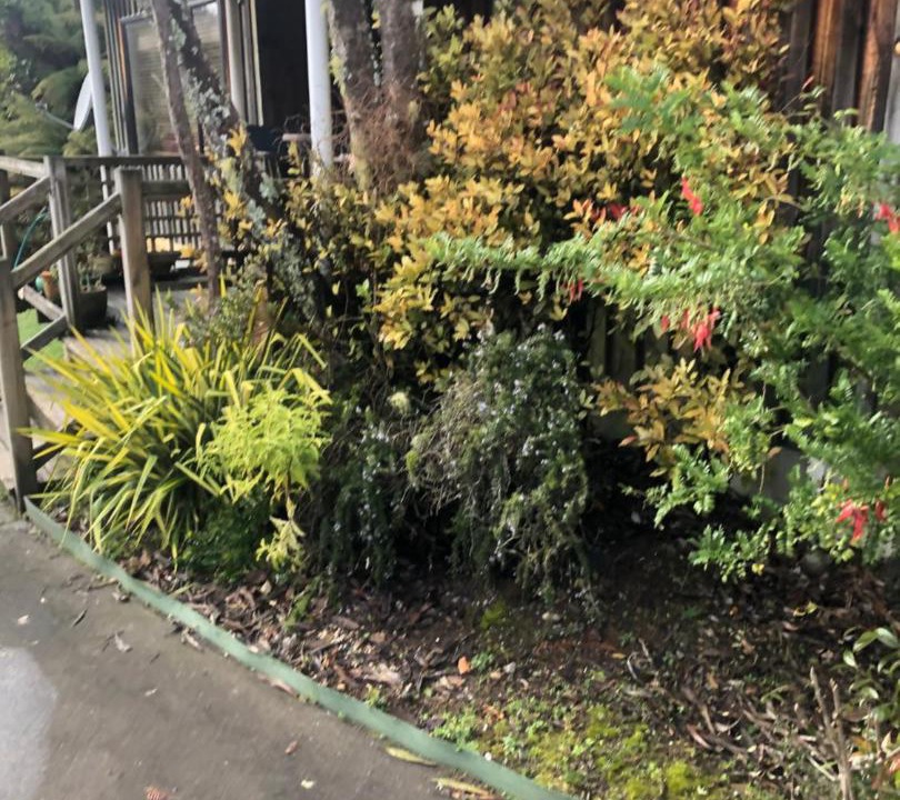 Photo of Outdoor in Raurimu