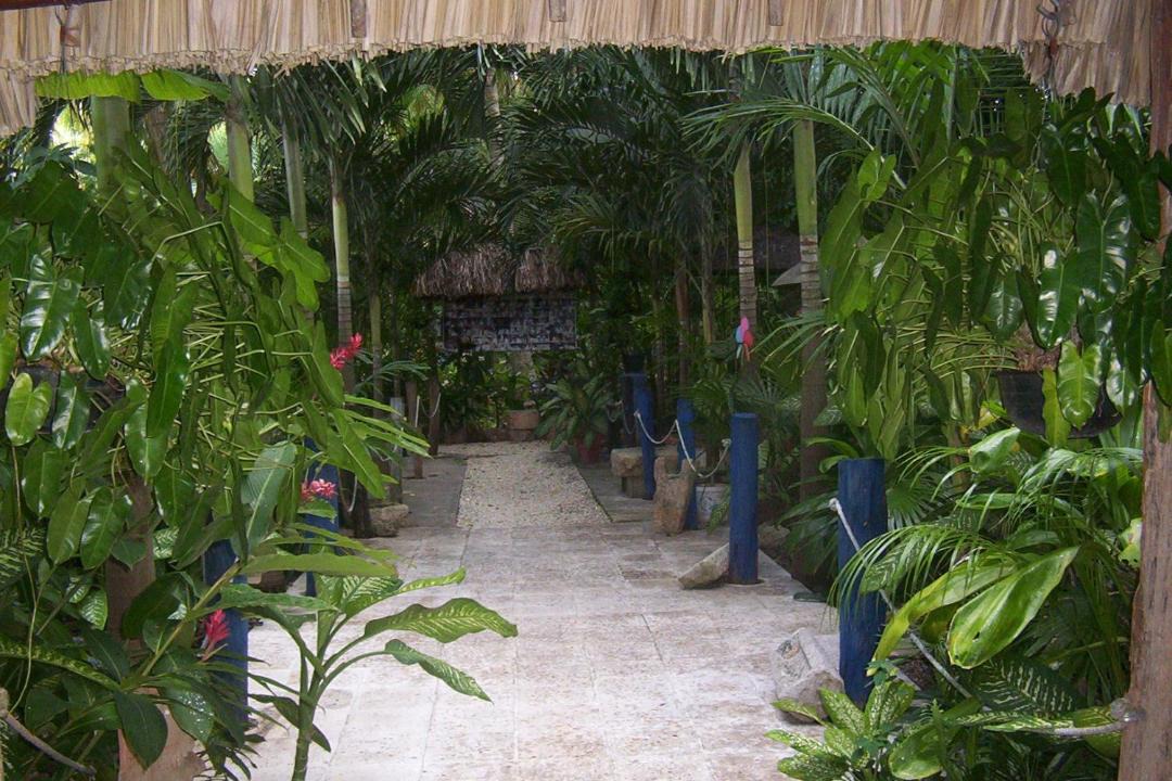 Photo of Others in Ticul