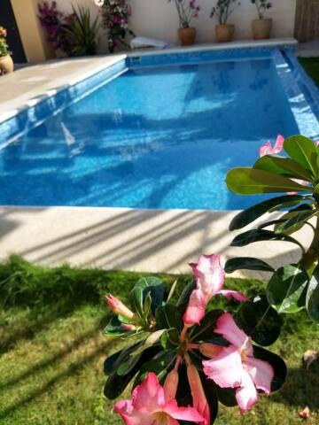 Photo of Outdoor in Crucecita