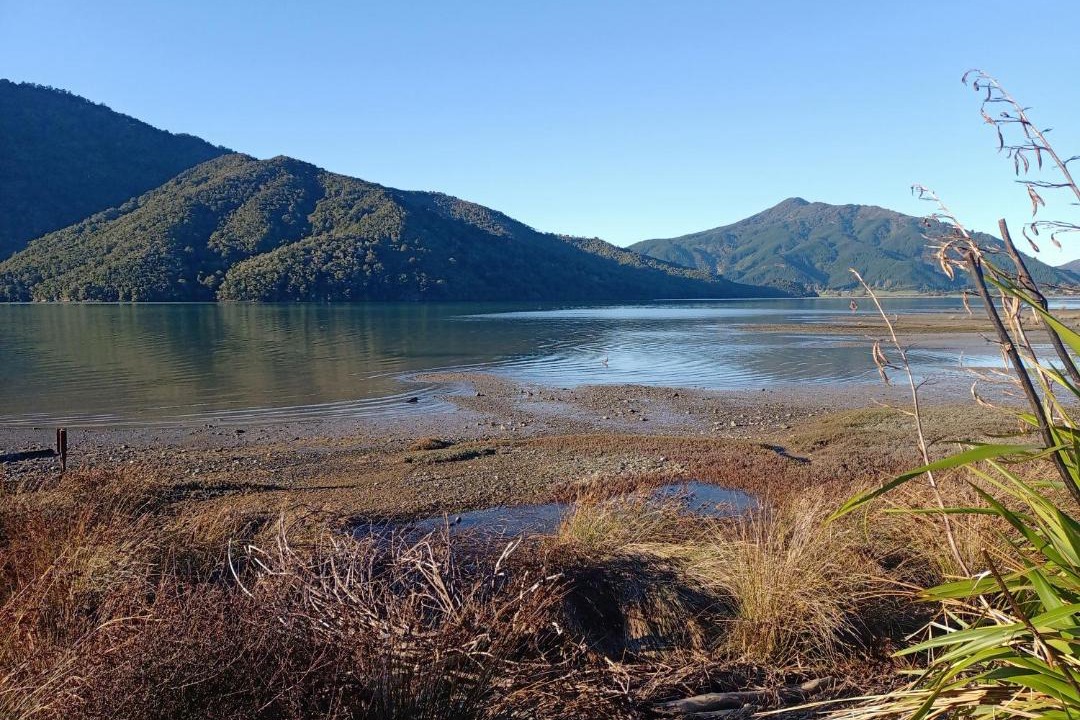 Photo of Others in Havelock