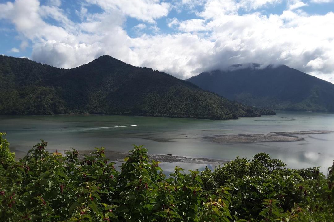 Photo of Others in Havelock