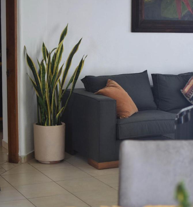Photo of Livingroom in San Francisco