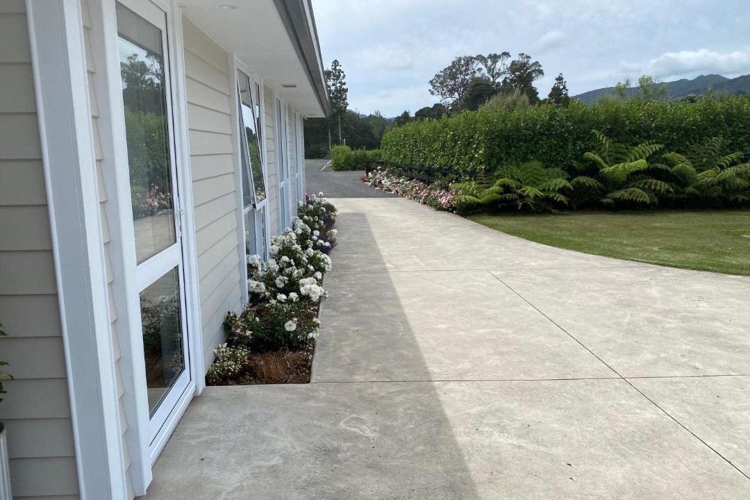 Photo of Others in Coromandel