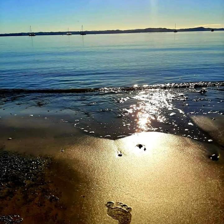 Photo of Others in Stanmore Bay