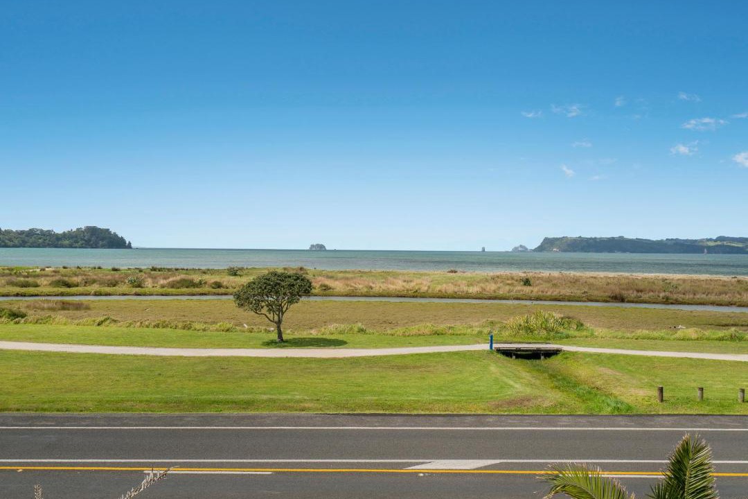 Photo of Others in Whitianga