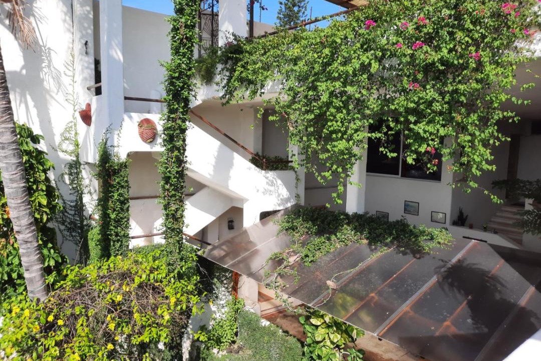 Photo of Buildings in Las Playas