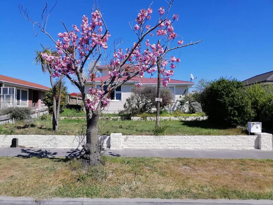 Photo of Others in Christchurch