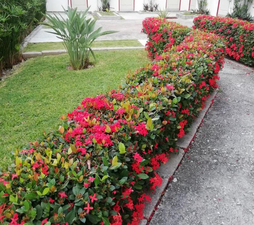 Photo of Buildings in Tuxtla Gutierrez