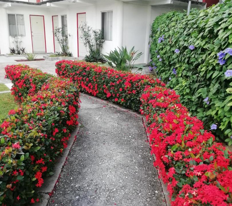 Photo of Others in Tuxtla Gutierrez